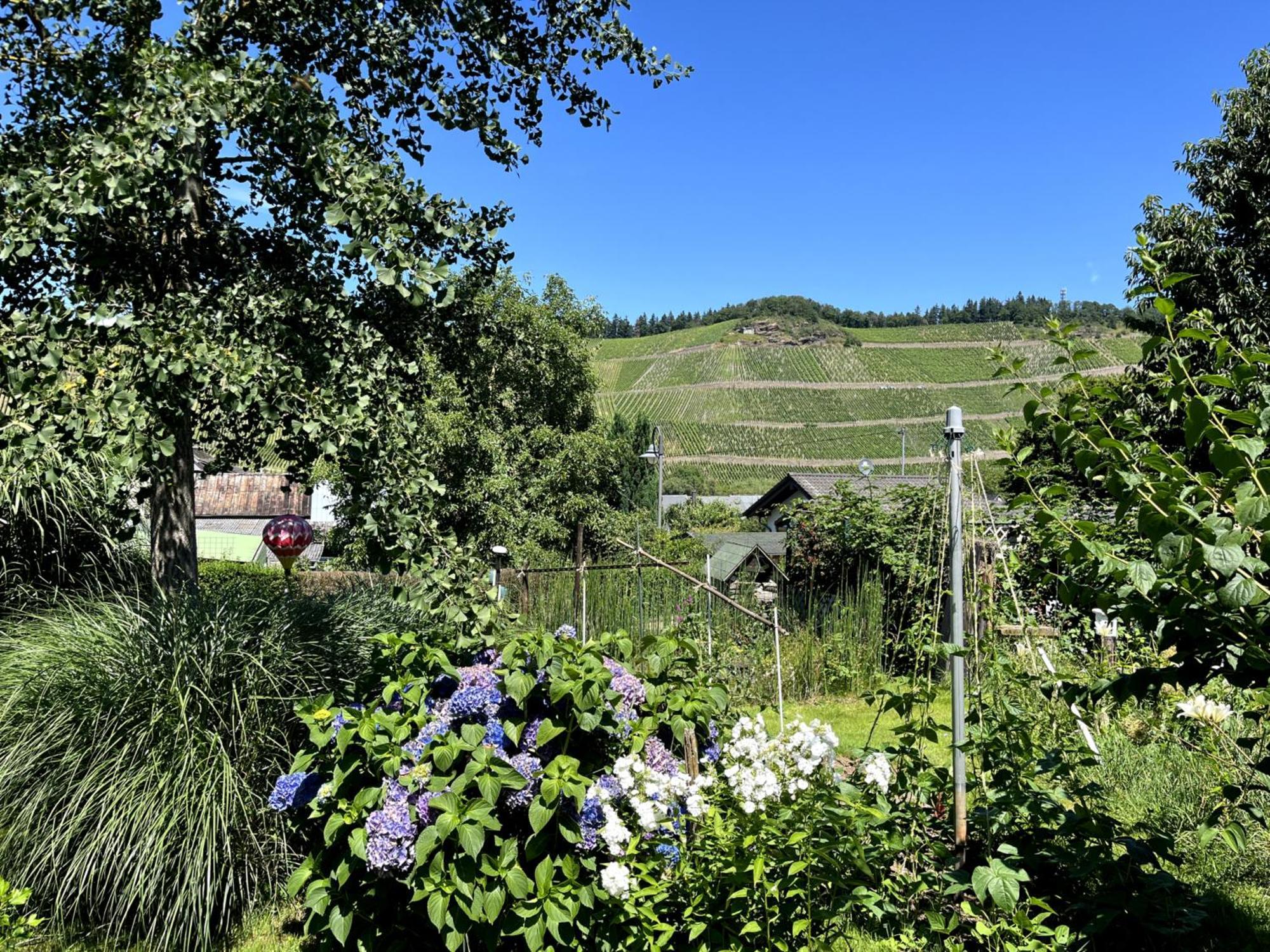 Landhaus Martina Brauneberg Ngoại thất bức ảnh